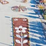 Çekerek’te Estetik Dokunuş: Peyzaj  Çalışmaları Aralıksız Devam Ediyor