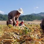 Yozgat tarımında büyük destek