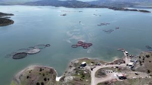 Yağışlar Bereket Getirdi: Çekerek Barajı’nda Sevindirici Artış